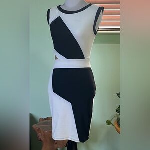 Elegant Black and White Women's Dress